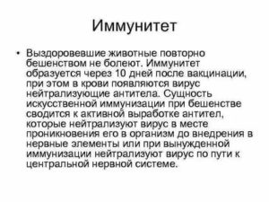 Иммунитет после вакцинации человека от бешенства
