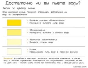 Как понять, моча или воды?