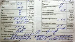 Расшифровка спермограммы для ЭКО