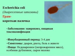 Кишечная палочка Escherichia coli 10^7 в посеве спермы