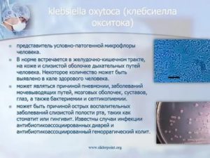 Klebsiella pneumoniae 1х10*3 в моче у ребенка 6.5 лет