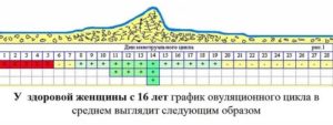 Какой день цикла считать первым, если КД начались вечером