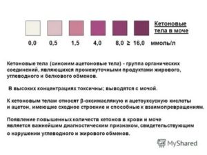 Кетоны в моче 20 мг/дл