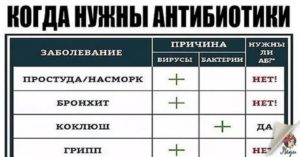 Простуда во время приема антибиотиков