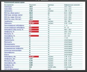 Могут ли нормобласты быть в крови при ОРЗ