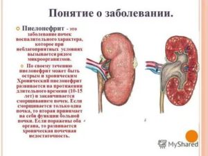 Воспаление хронического пиелоцистита