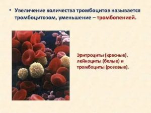 Снижение лейкоцитов и повышение эритроцитов при нейтропении