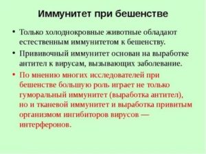 Иммунитет после вакцинации человека от бешенства