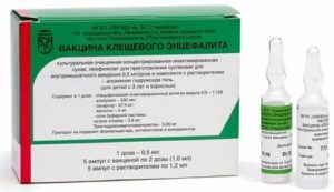 Прививка от клещевого энцефалита при планировании