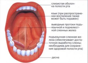 Под языком покраснение