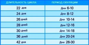 Месячные 16 дней