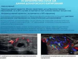 Высокая васкуляризация, что значит в узи