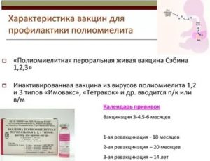 Прививка кпп и живой полимиелит ребёнку и беременность. Мамы