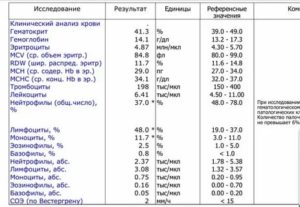 Расшифровка анализа крови, повышены лимфоциты