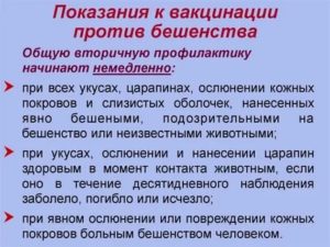 Последствия на прививки от столбняка и бешенства
