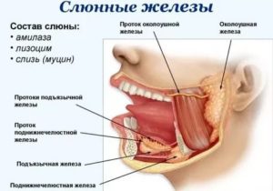 Дискомфорт под языком и нижней челюстью