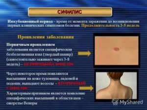 Может ли носитель сифилиса заразить