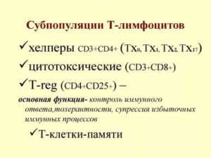 Исследование субпопуляции В-лимфоцитов