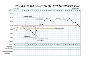 График бт