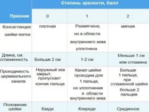 Является ли нормой сомкнутость цервикального канала во время месячных?