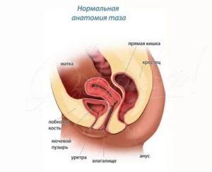 Лишилась девственности, боль при сексе, давит на мочевой пузырь