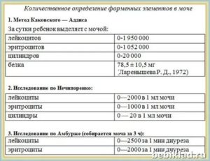 Эритроциты повышенные в анализе мочи по Нечипоренко у ребенка