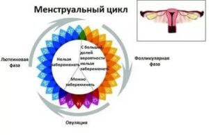 Вероятность беременности на 18 день цикла