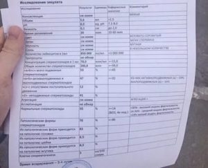 Расшифровка спермограммы для ЭКО