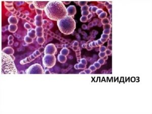 Гонорея, хламидиоз, гепатитC