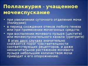 Частое мочеиспускание без боли