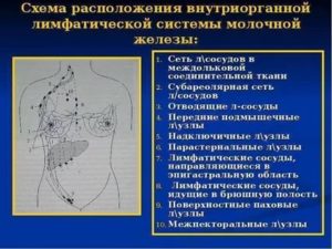 Лимфоузлы в эпигастральной области