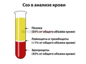 Соэ в крови