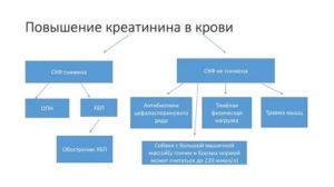 Повышен креатинин