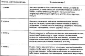 Расшифровка спермограммы - наличие грамм+ бактерий и кокков