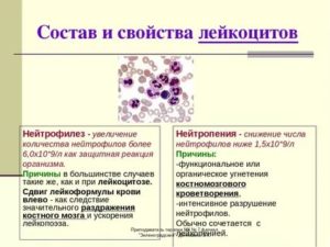 Снижение лейкоцитов и повышение эритроцитов при нейтропении
