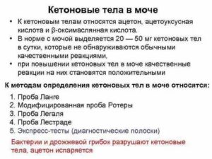 Кетоны в моче 20 мг/дл