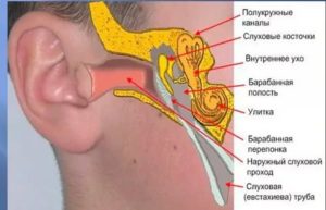 Массаж при отите среднего уха