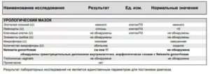 Расшифровка мазка из уретры