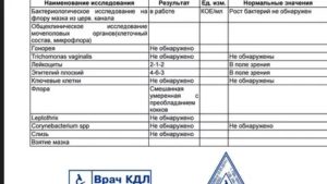Кокки в мазке у девочки 2 года