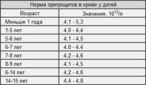 Немного повышены эритроциты у ребенка
