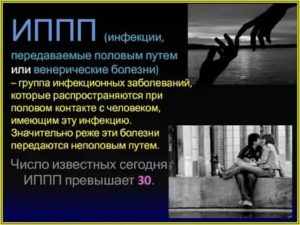 Заражение иппп при петтинге
