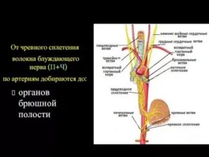 Блокада солнечного сплетения