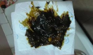 Стул темно зеленого цвета