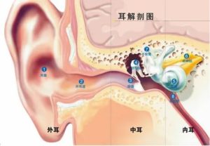 Усиление слуха (высоких частот) после вымывания пробки