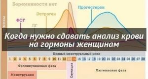 Кровь на 17 день цикла