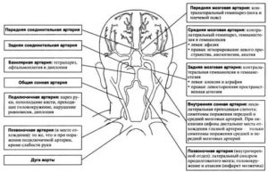 Допустимая нагрузка после инсульта. Диагноз-ишемический(атеротромботический)  инсульт в бассейне ЛСМА,