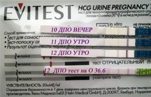 Когда лучше делать тест после незащищенного полового акта?