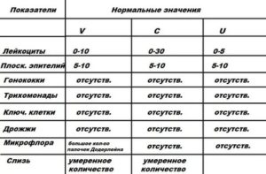 Мазок Лейкоциты 50-100 в п. з. Микрофлора - палочковидная, коккобациллы