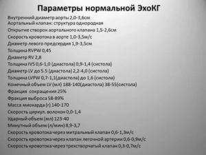 Рекомендации по результатам эхокардиограммы сердца