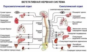 ЛДН по смешанному типу